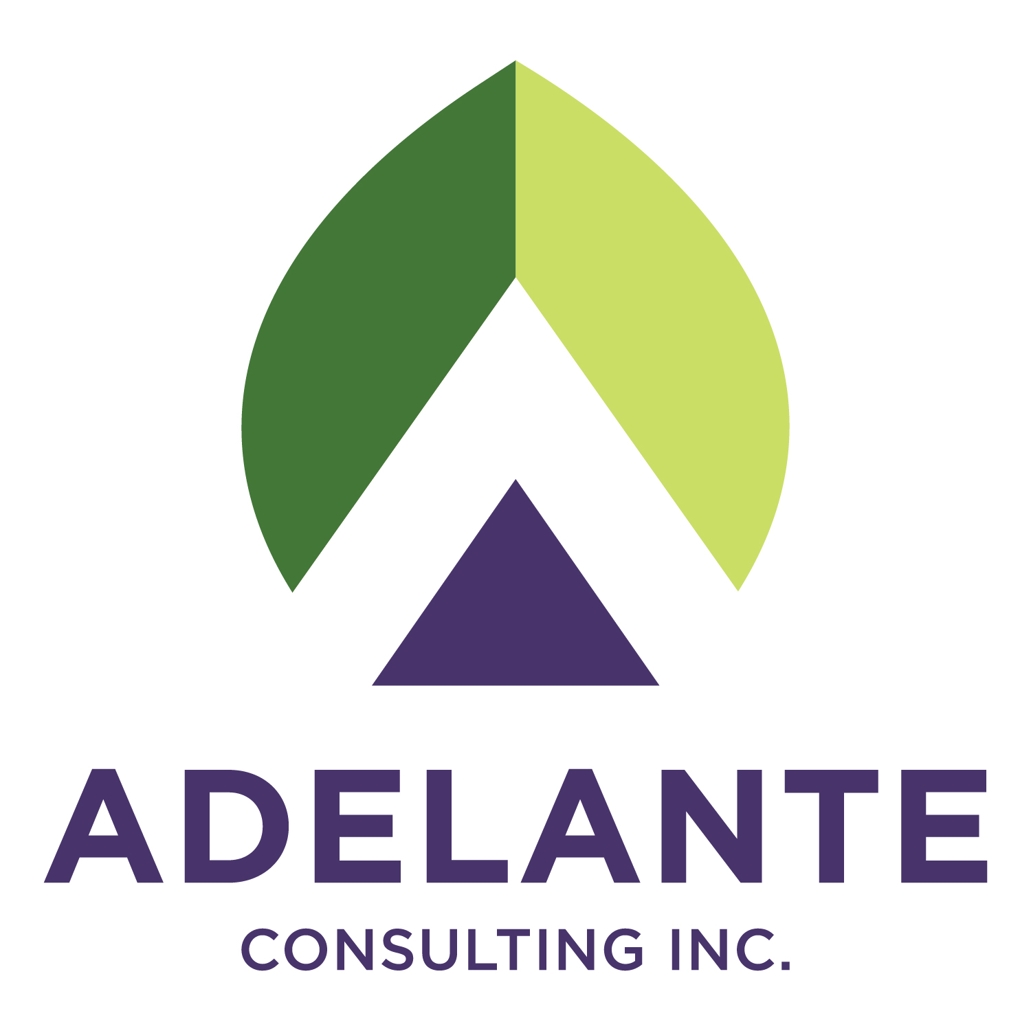 Adelante Consulting_Logo
